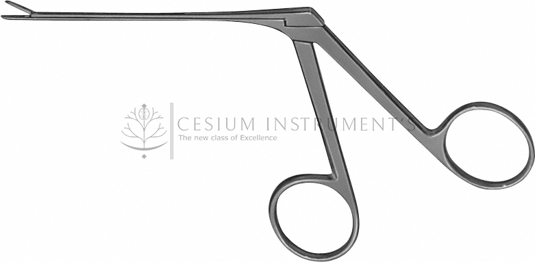  ORMEROD Ear Forceps, straight,