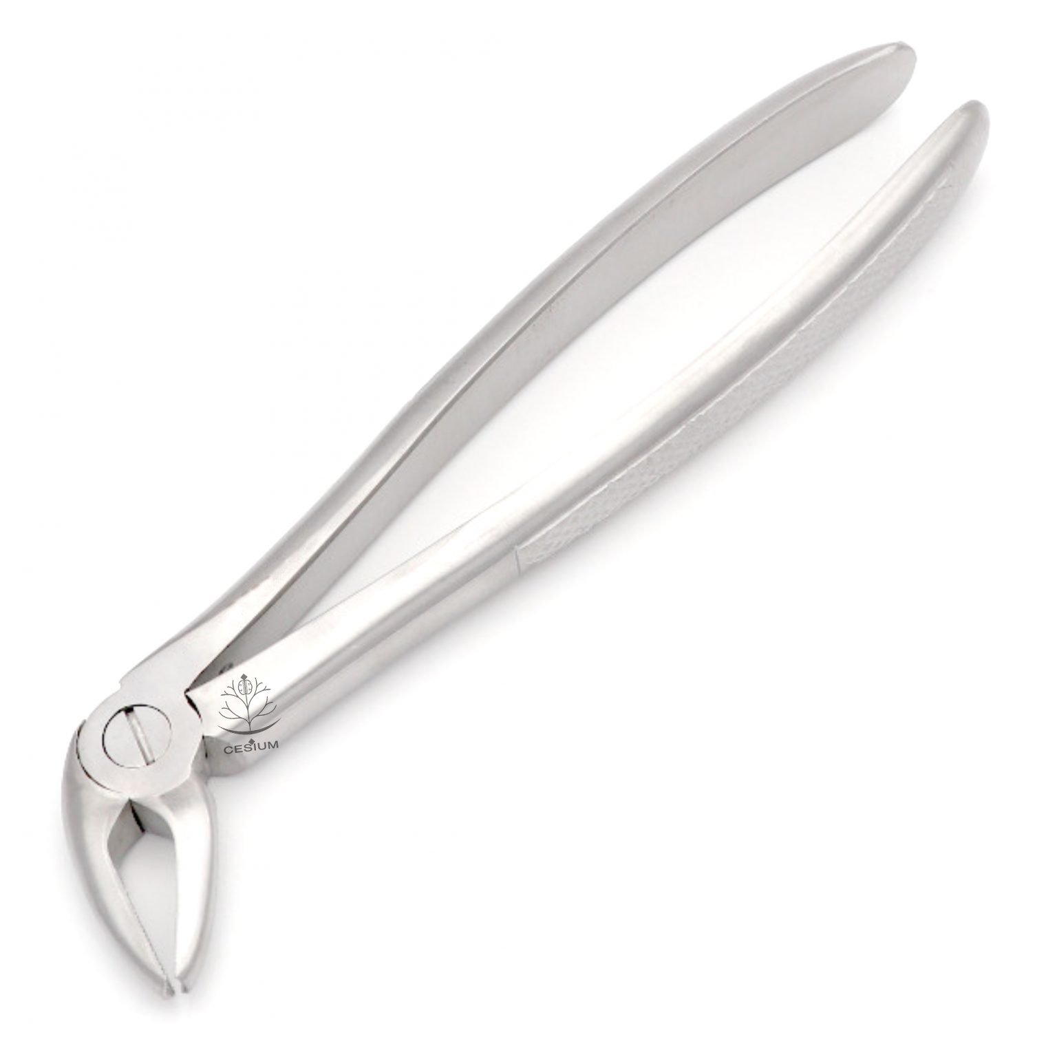 4 Extraction Forceps